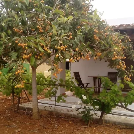 Turrent Villa